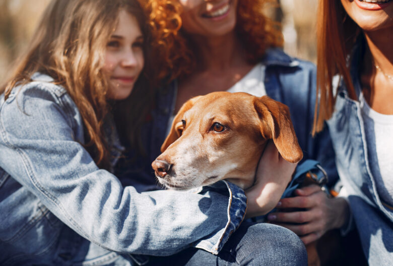 تتمثل أهداف DOHC في جمع شمل العلماء والمهنيين المشهورين العاملين في هذا المجال مع الطلاب والسلطات لتبادل معارفهم وإقامة علاقات وتعاون. سيتم تجديد مؤتمر One Health الأول في دبي بالإمارات العربية المتحدة سنويًا للحفاظ على الروابط والتعاون وتعزيزها. ستعمل DOHC مع منظمات One Health الإقليمية والدولية لتعميق التعريف والفهم الخاص بدول الشرق الأوسط وشمال إفريقيا. ستنشئ DOHC أيضًا مساحة تعليمية من One Health للطلاب والمهنيين.